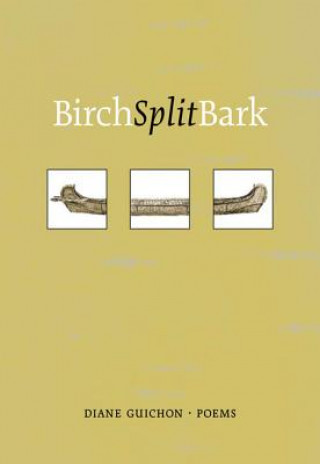 Carte Birch Split Bark Diane Guichon