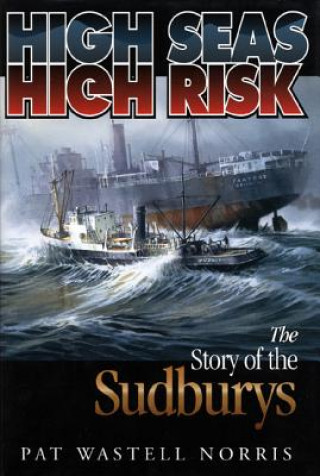 Kniha High Seas, High Risk Pat Wastell Norris