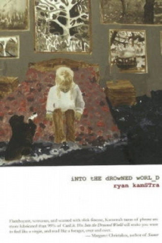 Buch Into the Drowned World Ryan Kamstra