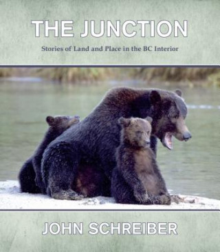Kniha Junction John Schreiber