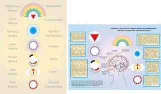 Tiskovina Lesser-Known Chakras -- A4 