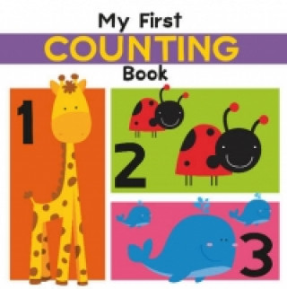 Książka My First Counting Book 