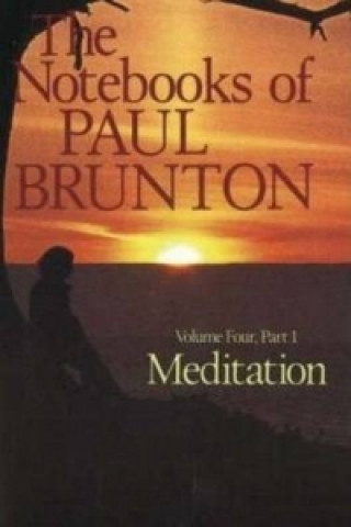 Buch Notebooks of Paul Brunton (16 Volume set) Paul Brunton