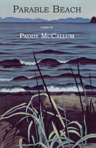 Kniha Parable Beach Paddy McCallum