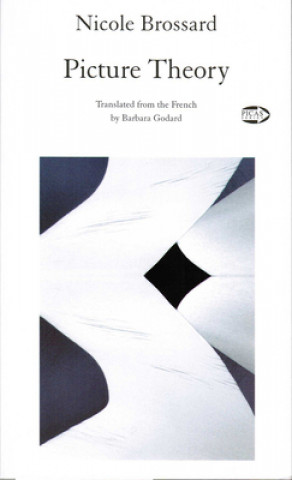 Buch Picture Theory Nicole Brossard