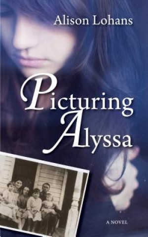 Kniha Picturing Alyssa Alison Lohans