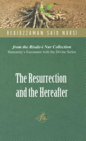 Könyv Resurrection and the Hereafter Bediuzzaman Said Nursi