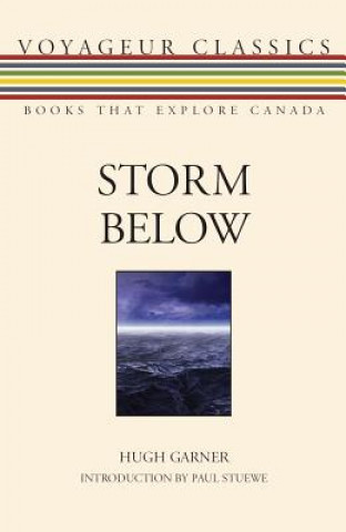 Книга Storm Below Hugh Garner