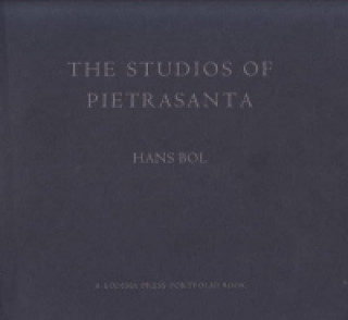 Libro Studios of Pietrastanta Hans Bol