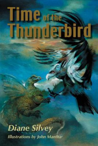 Kniha Time of the Thunderbird Diane Silvey