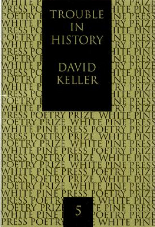 Könyv Trouble in History David J. Keller