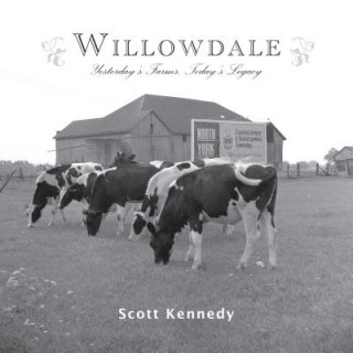 Kniha Willowdale Scott Kennedy