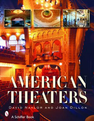 Kniha American Theaters David Naylor