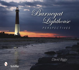 Könyv Barnegat Lighthouse Perspectives David Biggy