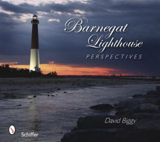 Książka Barnegat Lighthouse Perspectives David Biggy