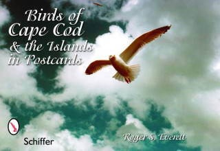 Carte Birds of Cape Cod & the Islands in Postcards R.S. Everett