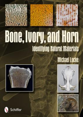 Książka Bone, Ivory, and Horn: Identifying Natural Materials Michael Locke