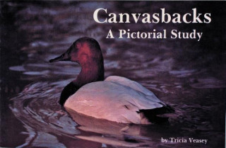 Knjiga Canvasbacks: A Pictorial Study T. Veasey