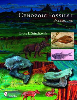 Kniha Cenozoic Fossils 1 Bruce L. Stinchcomb