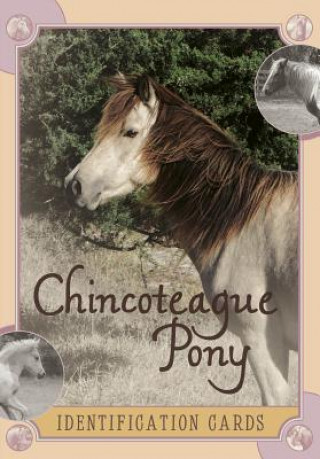 Carte Chincoteague Pony Identification Cards: Set 2 Lois Szymanski