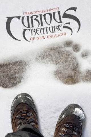 Kniha Curious Creatures of New England",FOREST CHRISTHER,PB,160,19.99,29.99,29.99,7.4,8.7,152,229,SCHI,SCHI,SCHI,R ,VXW,MBS,MIND9780764347078,"UF Over L Christopher Forest