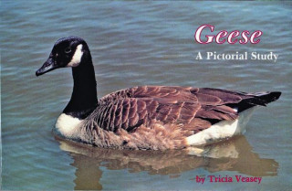 Kniha Geese: A Pictorial Study T. Veasey