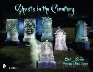 Libro Ghosts in the Cemetery: A Pictorial Study Stuart Schneider