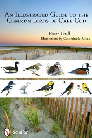 Carte Illustrated Guide to the Common Birds of Cape Cod Peter Trull