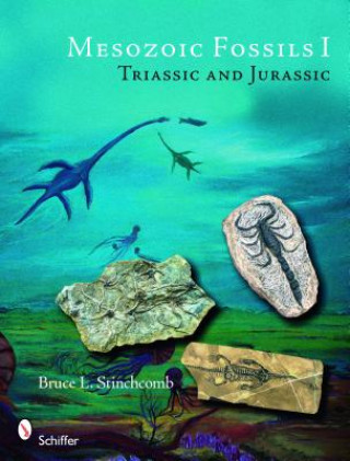 Kniha Mesozoic Fossils Bruce L. Stinchcomb