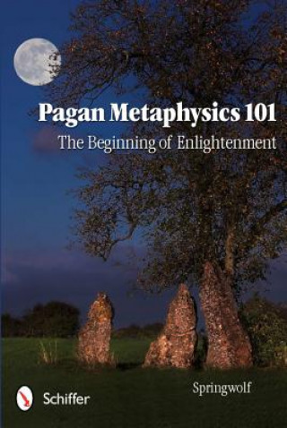 Książka Pagan Metaphysics 101 Springwolf