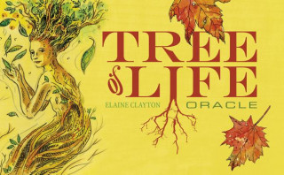 Carte Tree of Life Oracle Elaine Clayton