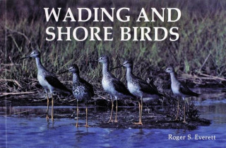 Kniha Wading and Shore Birds: A Photographic Study R. S. Everett