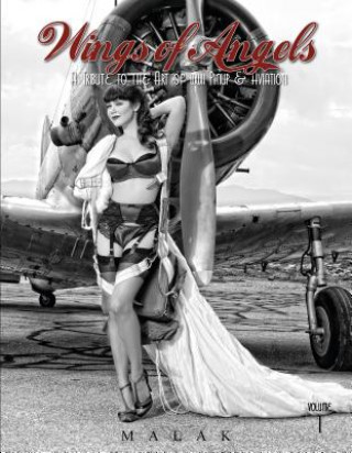Книга Wings of Angels: A Tribute to the Art of World War II Pinup and Aviation Vol 1 Michael Malak
