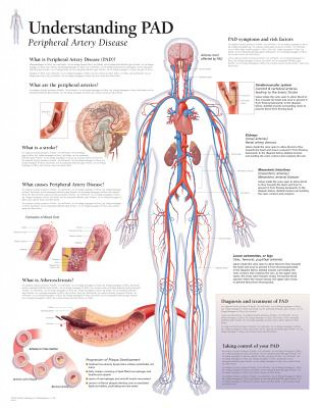 Tlačovina Understanding PAD Paper Poster Scientific Publishing