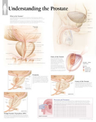 Materiale tipărite Understanding the Prostate Paper Poster Scientific Publishing