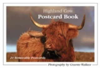 Livre Highland Cow Postcard Book Graeme Wallace