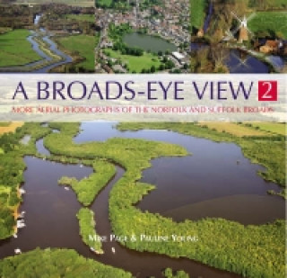 Kniha Broads Eye View Pauline Young