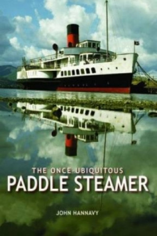 Knjiga Once-Ubiquitous Paddle Steamer John Hannavy