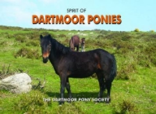 Livre Spirit of Dartmoor Ponies Dartmoor Pony Society