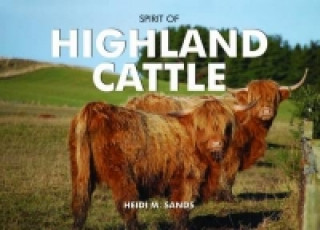 Kniha Spirit of Highland Cattle Heidi M. Sands