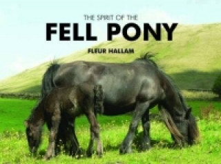Книга Spirit of the Fell Pony Fleur Hallam