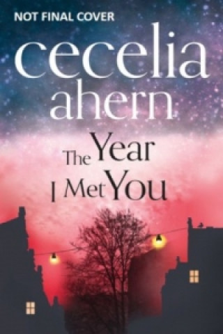 Kniha Year I Met You Cecelia Ahern