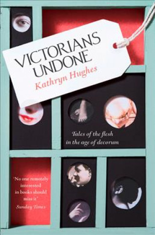 Könyv Victorians Undone Kathryn Hughes