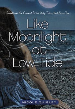 Könyv Like Moonlight at Low Tide Nicole Quigley