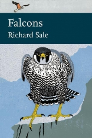 Book Falcons Richard Sale