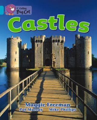 Carte Collins Big Cat - Castles Workbook Maggie Freeman