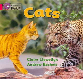 Книга Collins Big Cat - Cats Workbook Claire Llewellyn