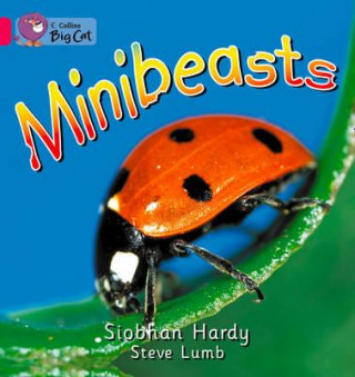 Kniha Minibeasts Workbook Siobhan Hardy