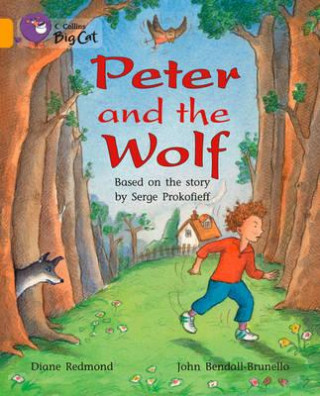 Kniha Collins Big Cat - Peter and the Wolf Workbook Diane Redmond