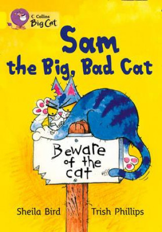 Carte Collins Big Cat - Sam The Big, Bad Cat Workbook Sheila Bird